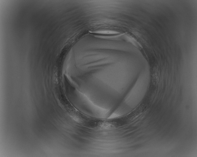 X0000067350547200604212004