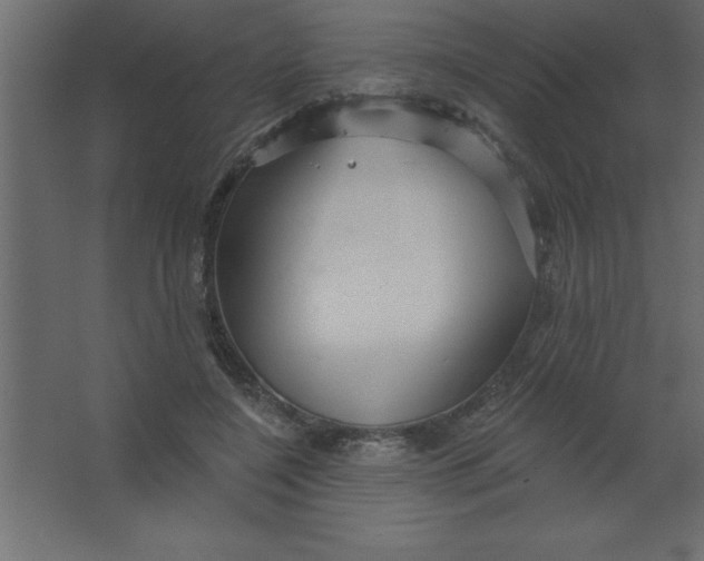 X0000067350548200604212004