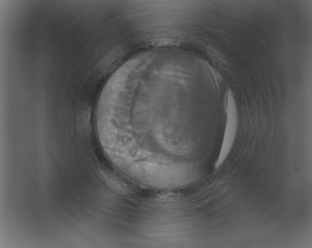 X0000067350550200604212004