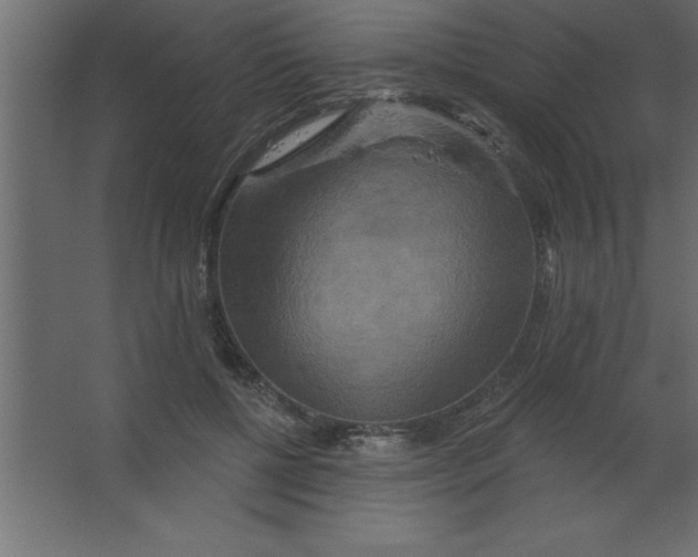 X0000067350552200604212004