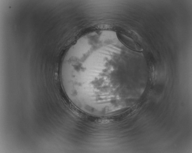 X0000067350553200604212004