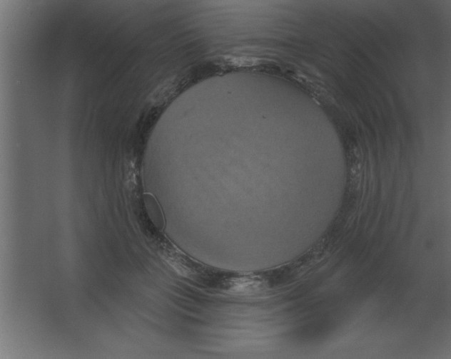 X0000067350555200604212004