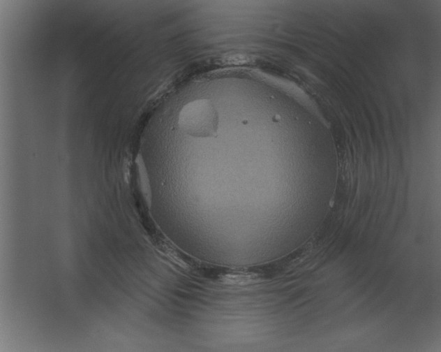 X0000067350556200604212004