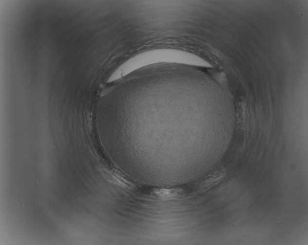 X0000067350558200604212004