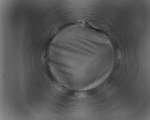 X0000067350559200604212004