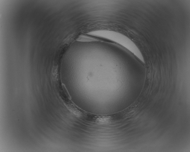 X0000067350560200604212004