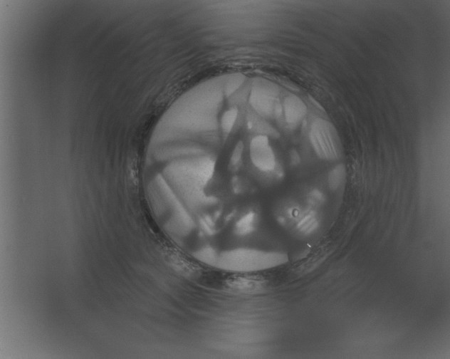 X0000067350561200604212004