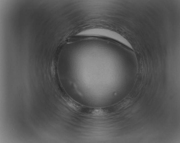 X0000067350562200604212004