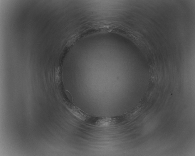 X0000067350563200604212004