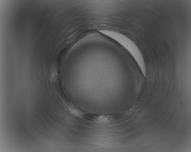 X0000067350566200604212004