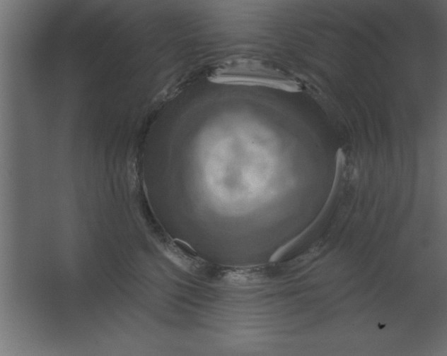 X0000067350568200604212004