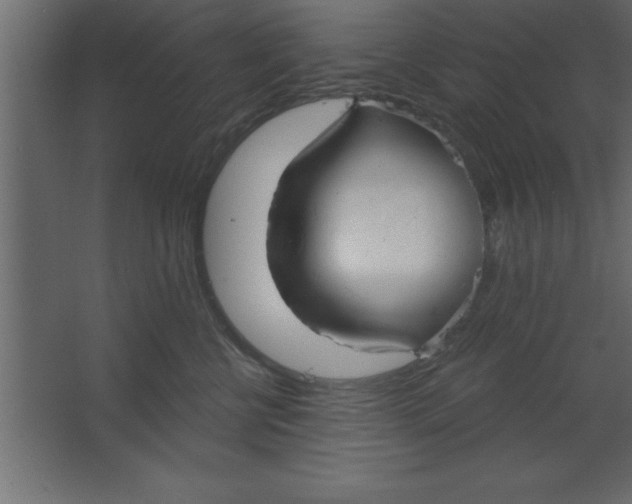 X0000067350570200604212004