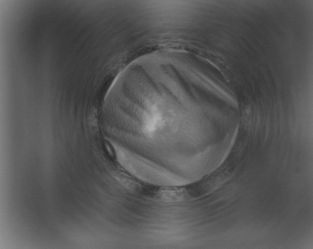 X0000067350571200604212004