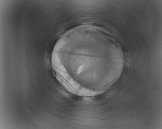 X0000067350573200604212005