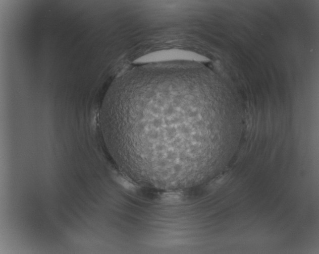 X0000067350574200604212005