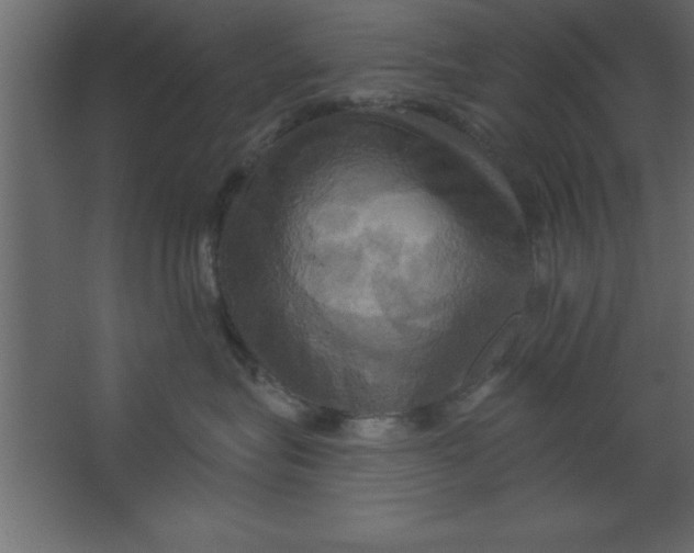 X0000067350575200604212005