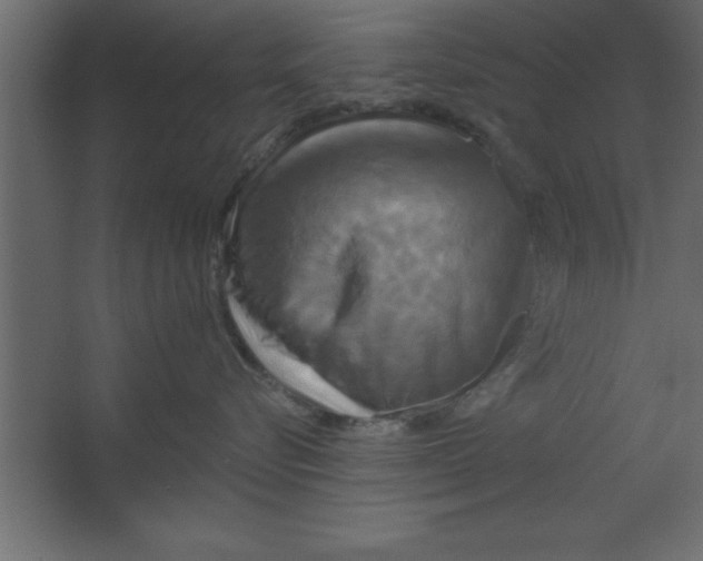 X0000067350576200604212005