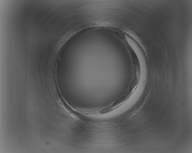 X0000067350577200604212004