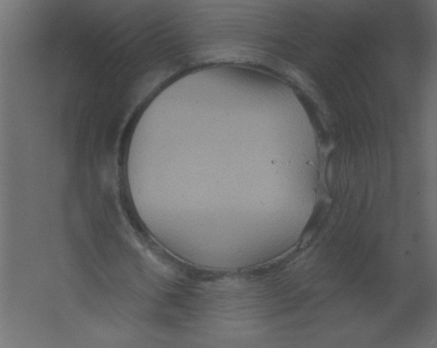 X0000067350578200604212004