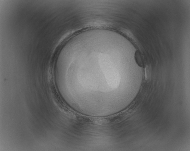 X0000067350579200604212004