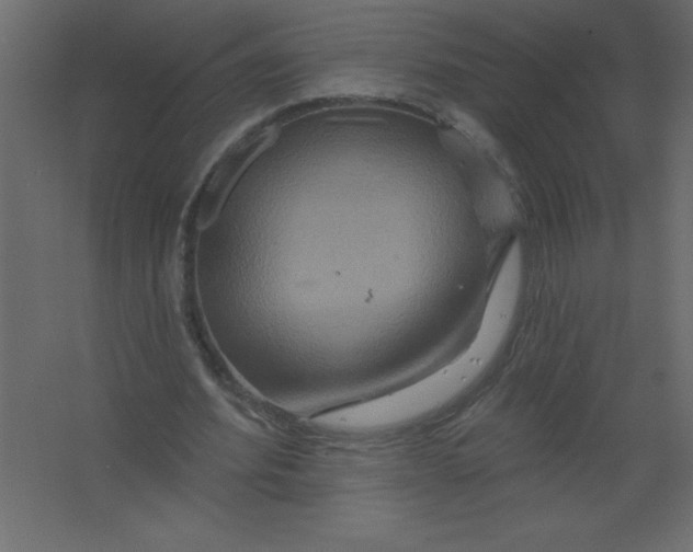 X0000067350580200604212004