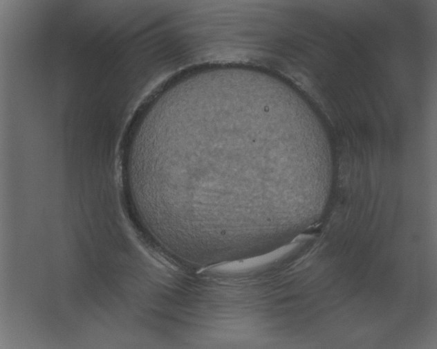 X0000067350584200604212004