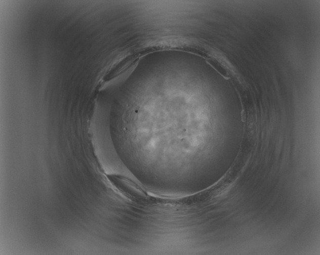 X0000067350585200604212004