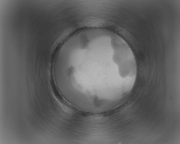 X0000067350586200604212004