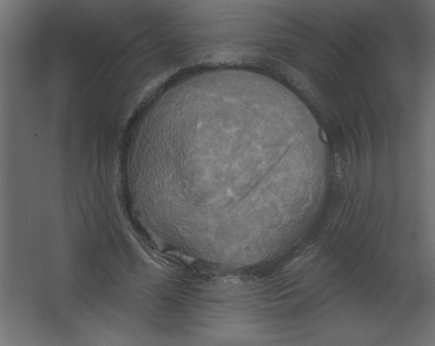 X0000067350588200604212004