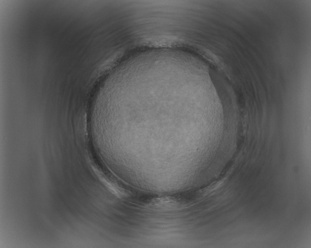 X0000067350589200604212004