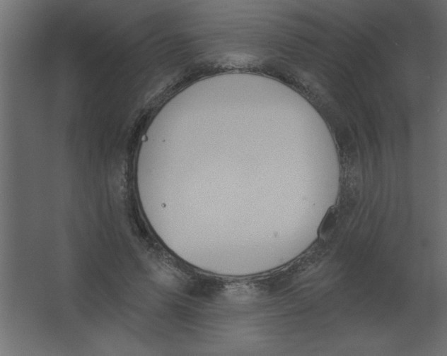 X0000067350591200604212004