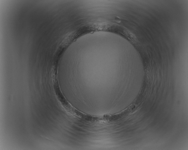 X0000067350594200604212003