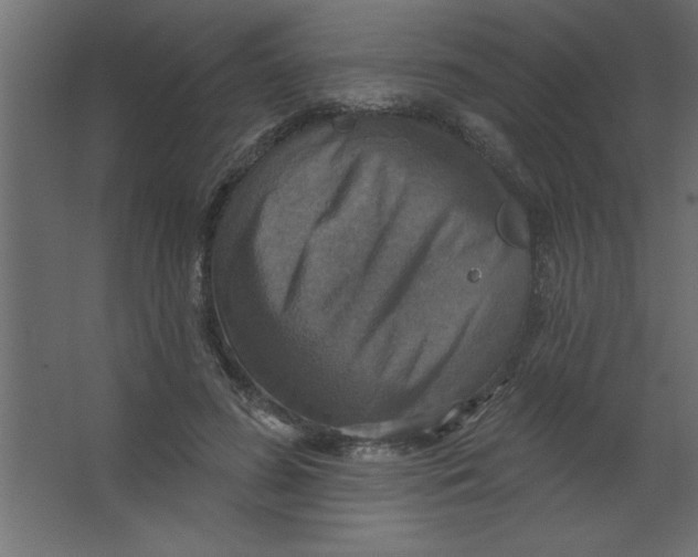 X0000067350596200604212003