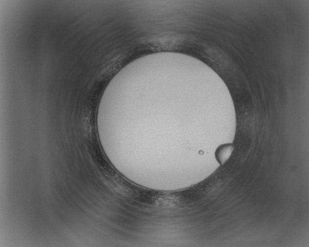 X0000067350599200604212003