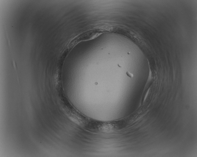 X0000067350600200604212003