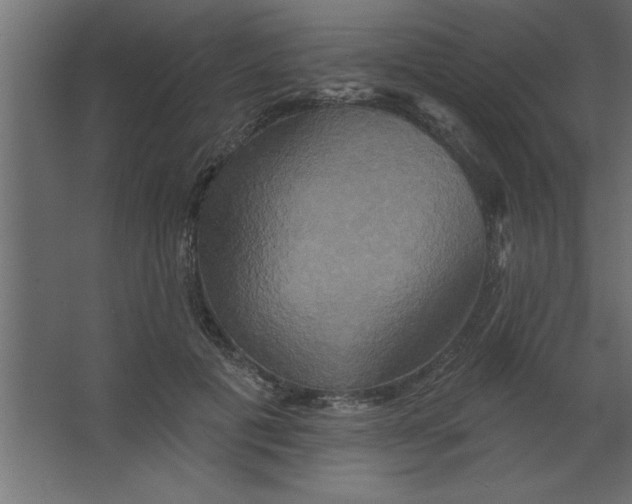 X0000067350601200604212003