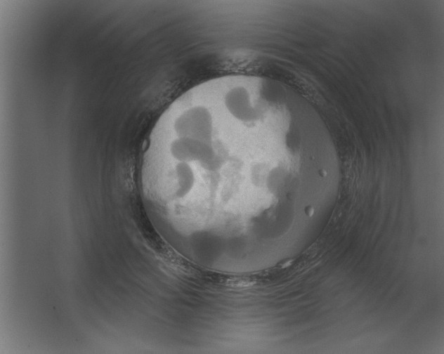 X0000067350602200604212003