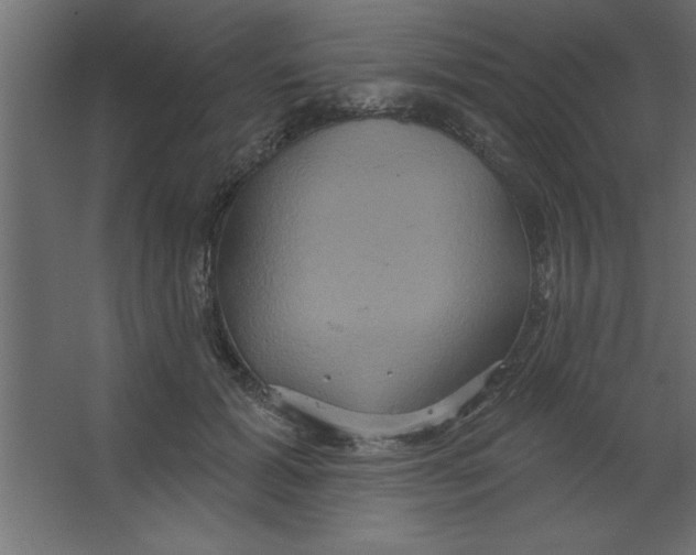 X0000067350605200604212003