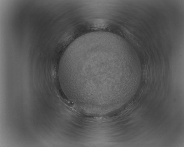 X0000067350608200604212003