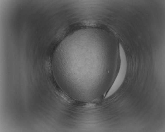 X0000067350609200604212003