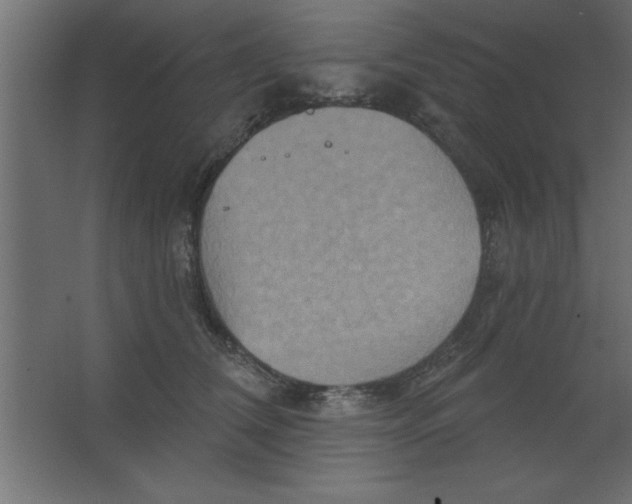 X0000067350612200604212003