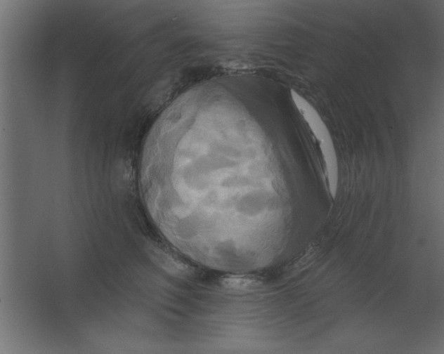 X0000067350614200604212003