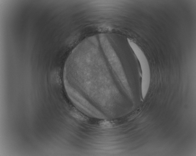 X0000067350616200604212003