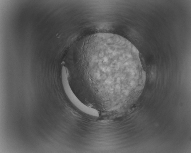 X0000067350619200604212003