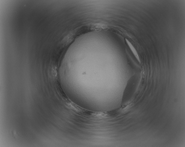 X0000067350621200604212003