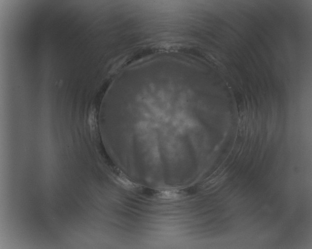 X0000067350623200604212003