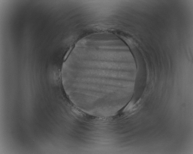 X0000067350624200604212003