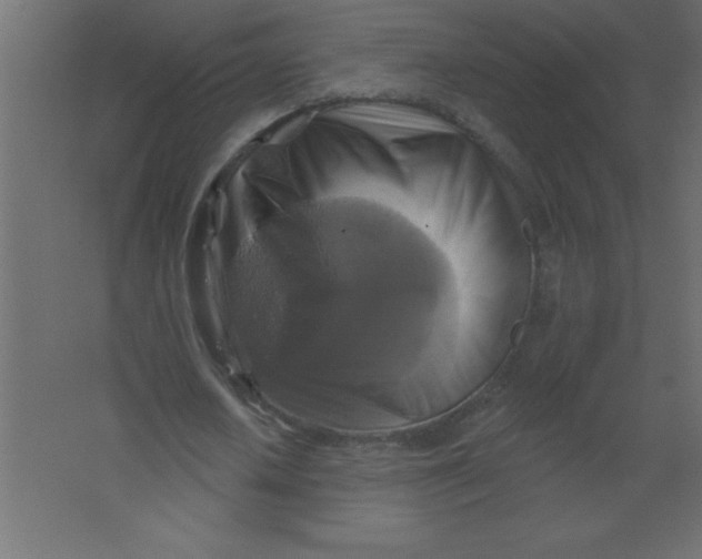 X0000067350626200604212002