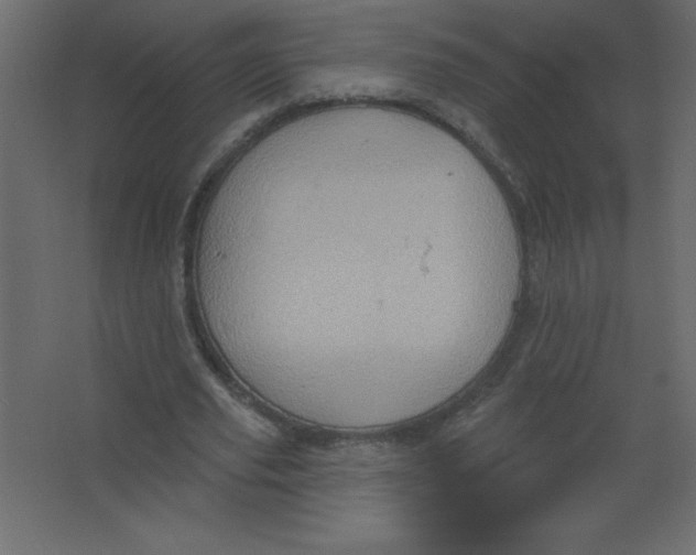 X0000067350629200604212002