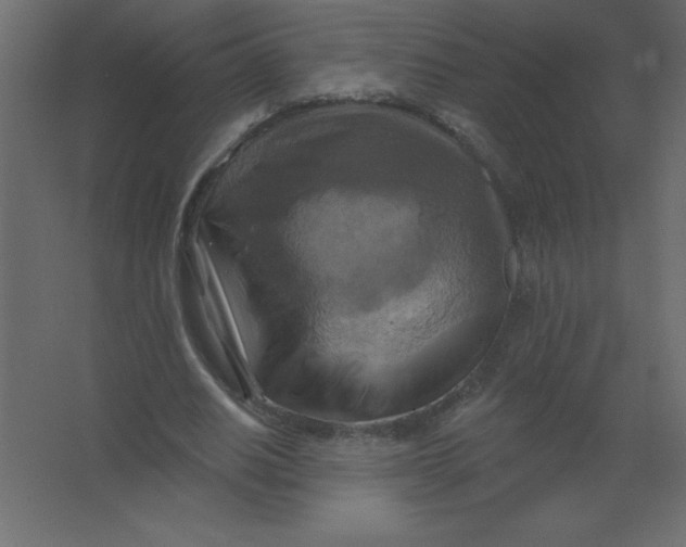 X0000067350630200604212002